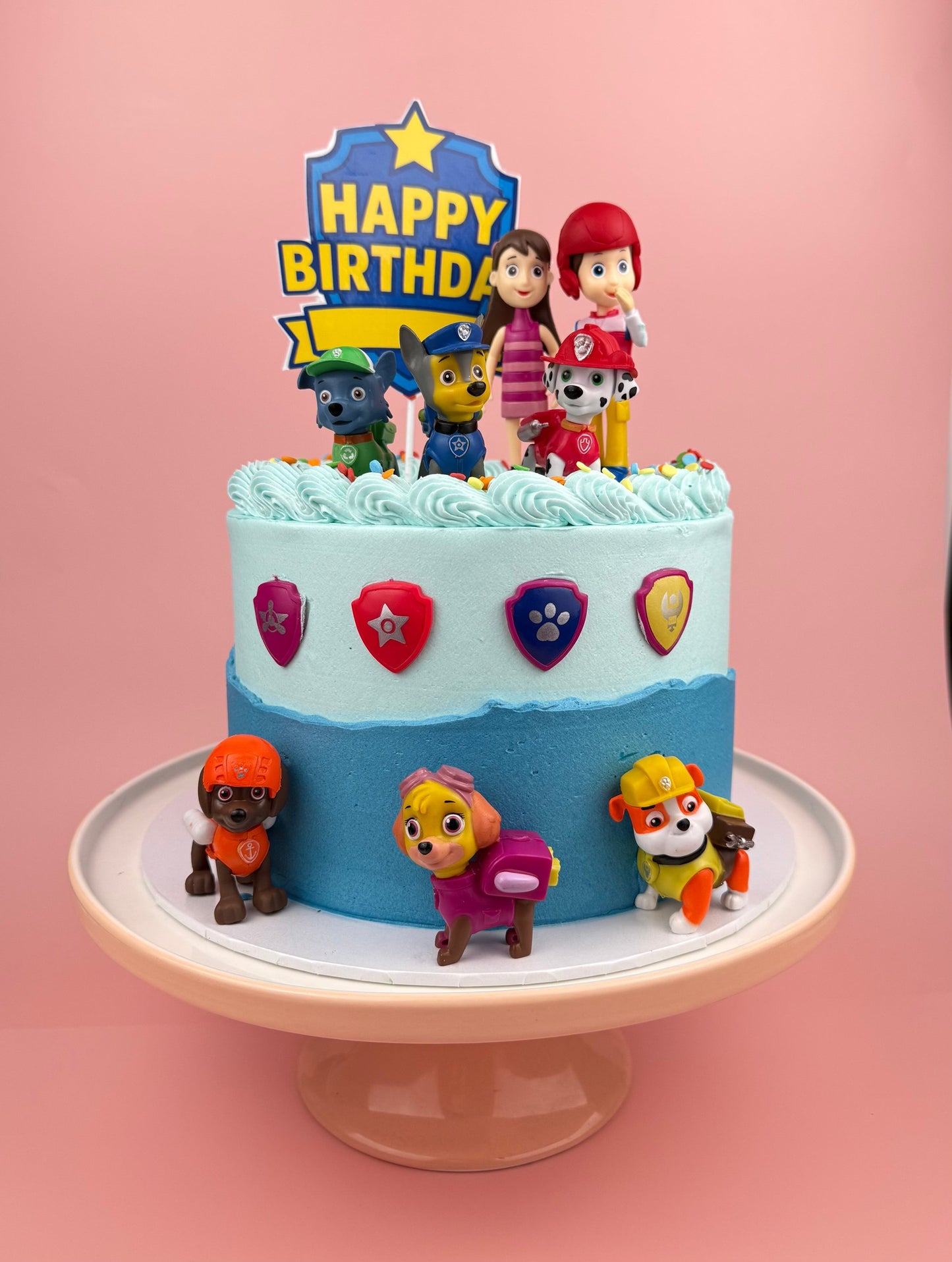 New Paw Patrol Birthday Cake by Bannos