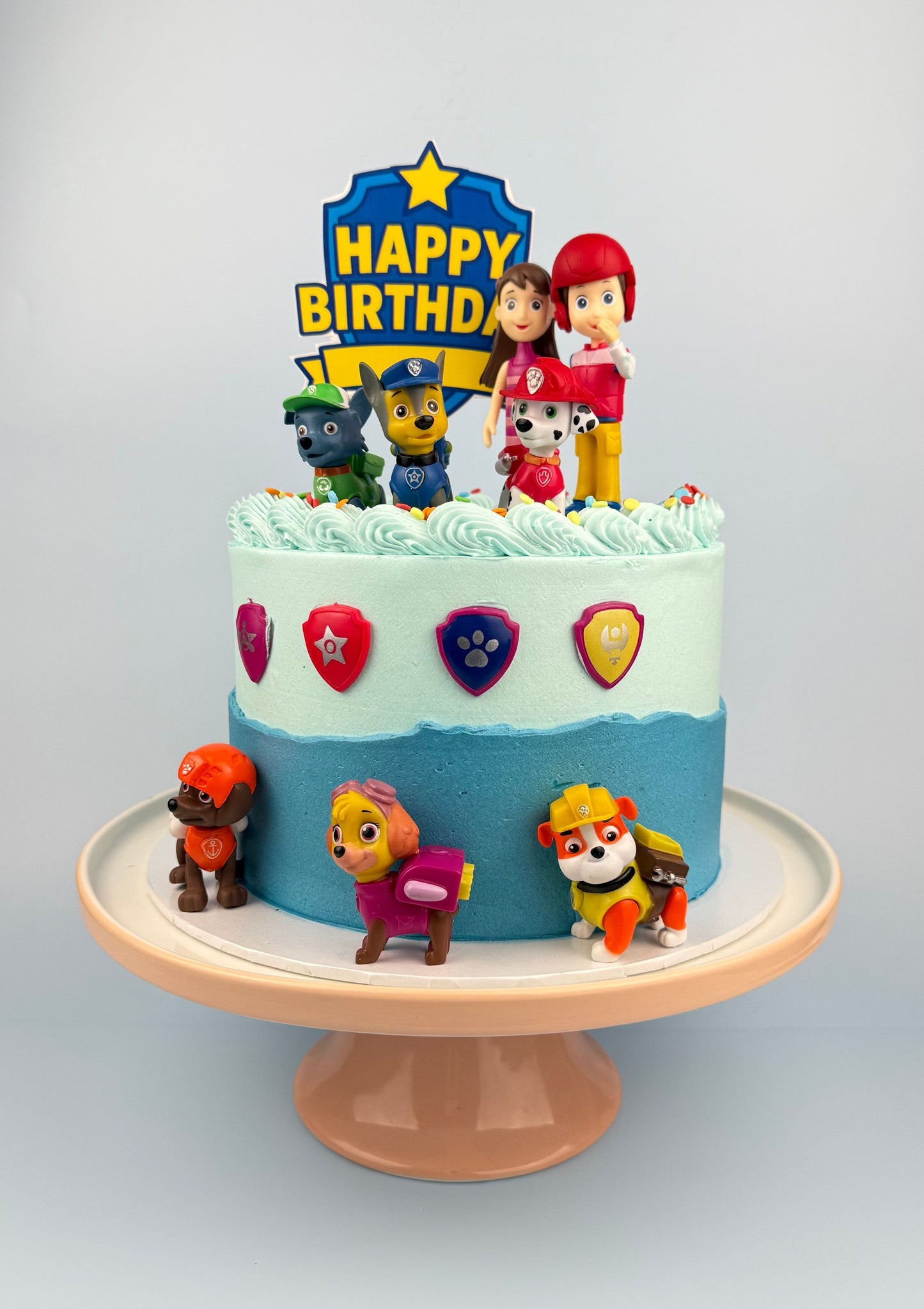 New Paw Patrol Gelato Cake by Bannos