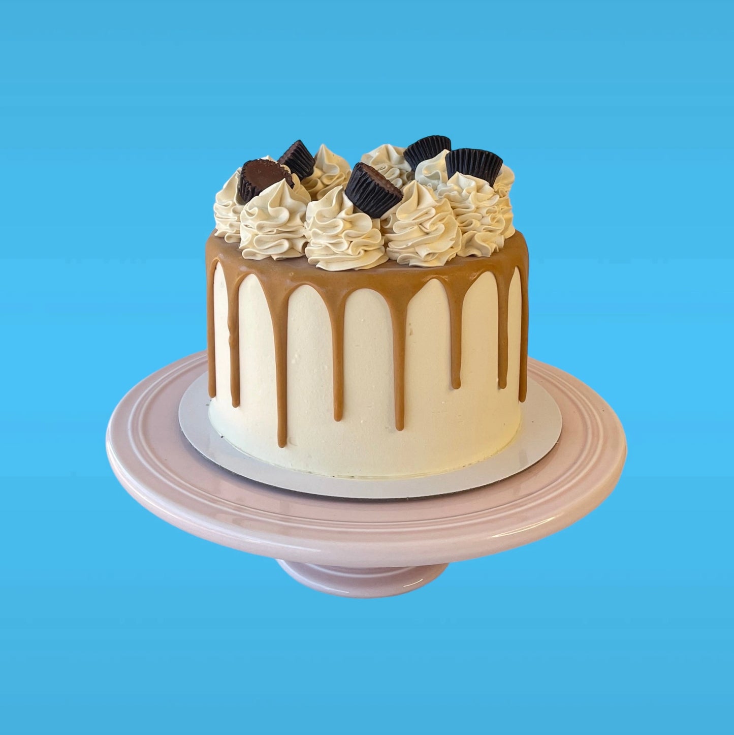 Peanutella Gelato Cake - bannos cakes-sydney delivery